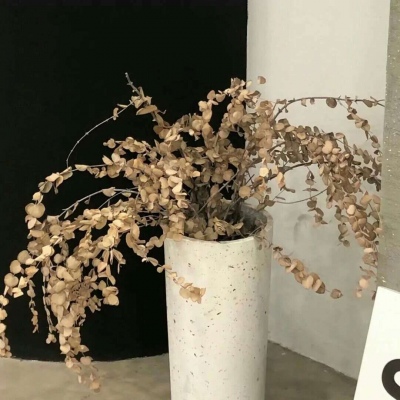 屯昌FurryQQ群介绍